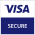 visa icon
